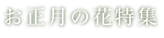 【管理】お正月専用ページ